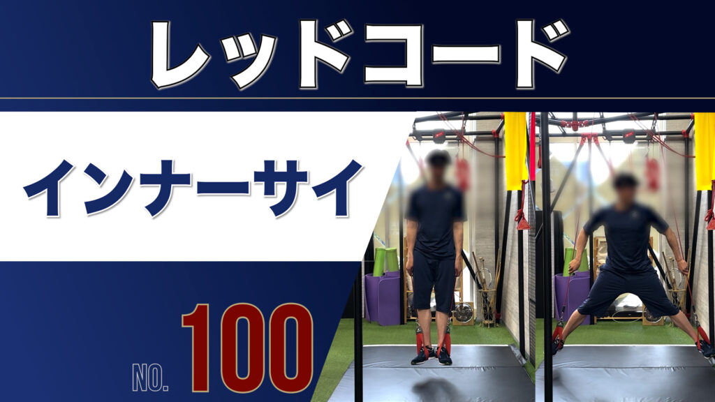 100レッドコードインナーサイ