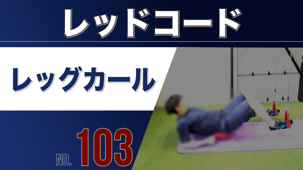 103レッドコードレッグカール